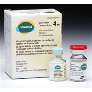 CONVENIA INIET POLV 340MG+4ML F