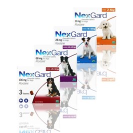 NEXGARD*3CPR MAST 11MG 2-4KG