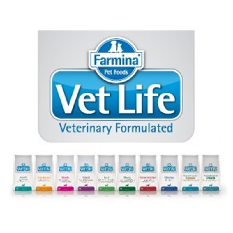 VET LIFE DOG HYPOALLERGENIC FISH & POTATO 2 KG