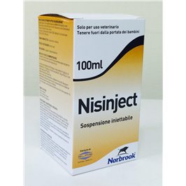 NISINJECT INIETTABILE FL 100ML