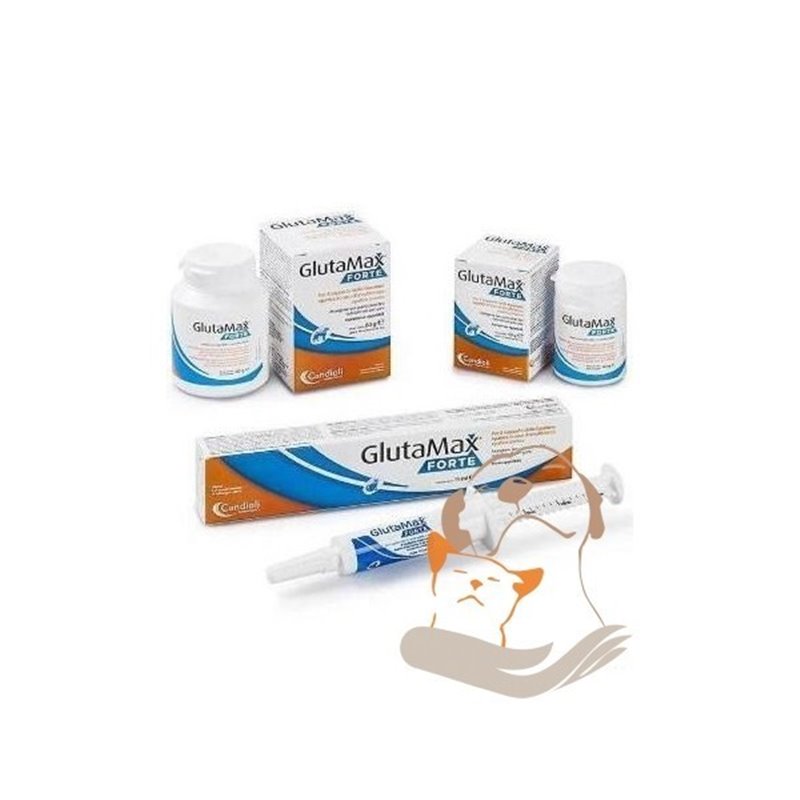 GLUTAMAX FORTE PASTA GATTI 15 ML GLUTAMAX FORTE PASTA GATTI 15 ML