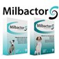 MILBACTOR 48 CPR 16MG+40MG GATTO