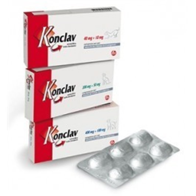 KONCLAV 12CPR 200MG+50MG