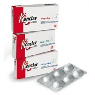 KONCLAV 12CPR 200MG+50MG