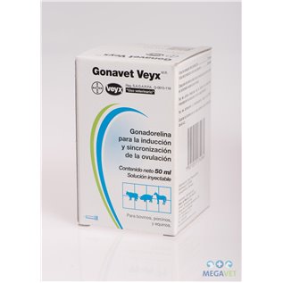 GONAVET VEYX INIET 1FL 10