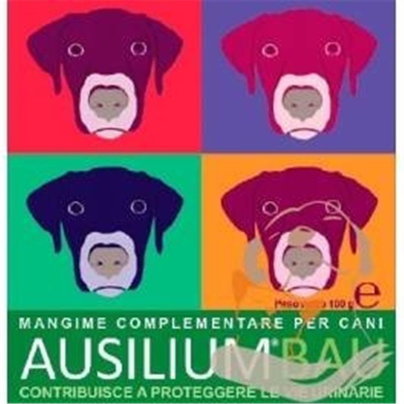 AUSILIUM BAU 100G AUSILIUM BAU 100G