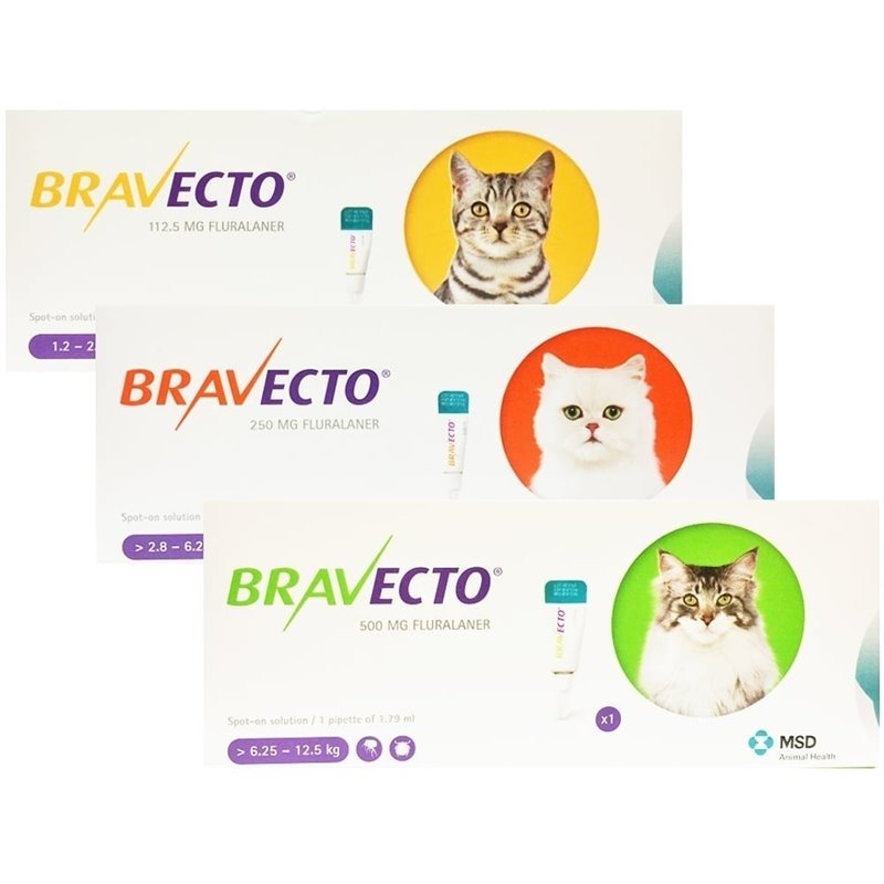 BRAVECTO 1 PIP 500MG 6,25 - 12,5 KG GATTO