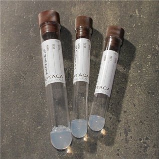 PROVETTA GEL SEPAR 5ML SANGUE 50pz T/MAR