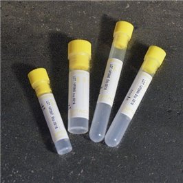 PROVETTA Na/CITRATO 2.25ML 50PZ T/GIALLO