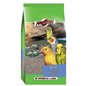 GRIT CON CORALLI 2,5 KG