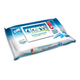 SALVIETTE IGIENIZZANTI CASA 50PZ S&B