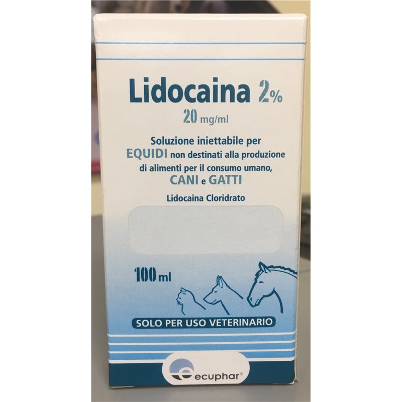LIDOCAINA 2% FL 100 ML ECUPHAR