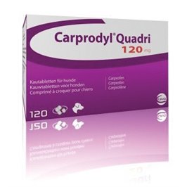 CARPRODYL QUADRI 120 CPR 120 MG