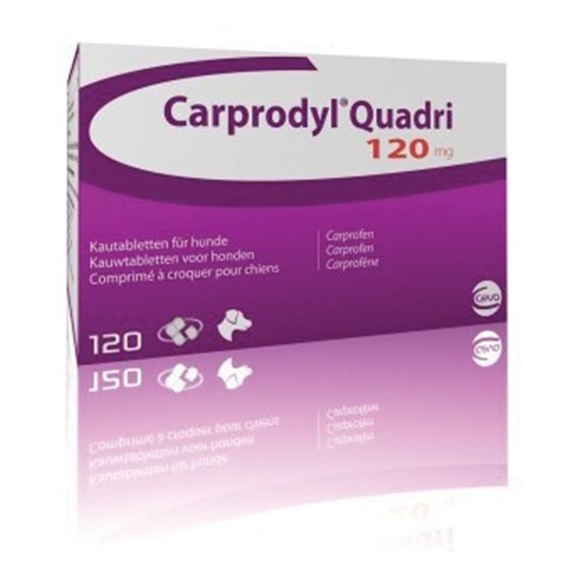 CARPRODYL QUADRI 120 CPR 120 MG