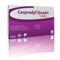 CARPRODYL QUADRI 120 CPR 120 MG
