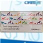THERATEST LEPTOSPIRA IGM 5 TEST P. THERATEST LEPTOSPIRA IGM 5 TEST P.