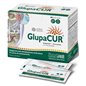 GLUPACUR 60 STICK ORALI GLUPACUR 60 STICK ORALI
