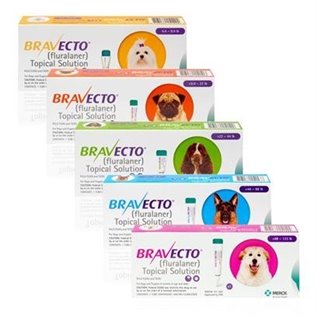 BRAVECTO 1 PIP 500 MG 10 - 20 KG CANE