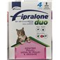 FIPRALONE DUO GATTO 4 PIP ROSA