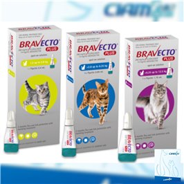 BRAVECTO PLUS 1 PIP 112,5MG/5,6MG GIALLO