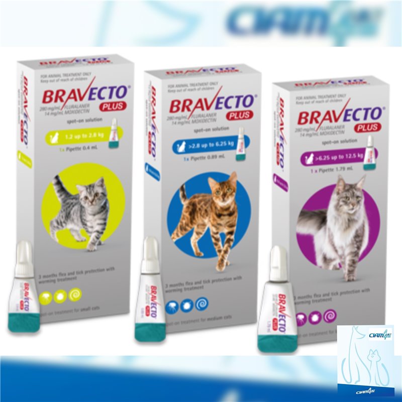 BRAVECTO PLUS 1 PIP 112,5MG/5,6MG GIALLO