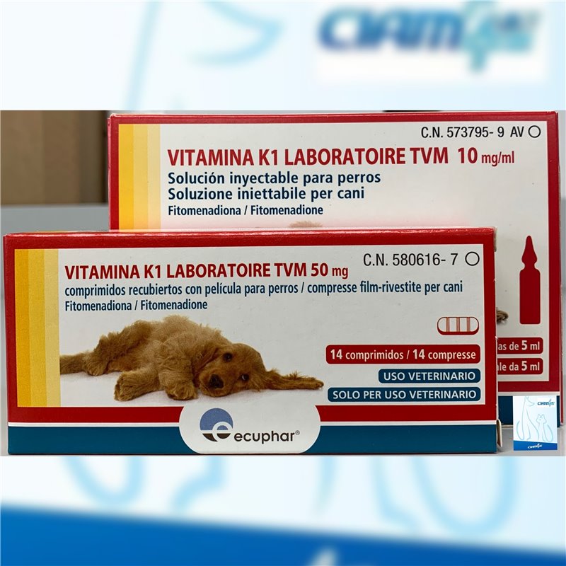 VITAMINA K1 LAB 14 CPR RIV 50 MG