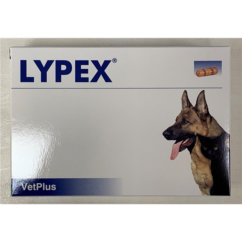 LYPEX 60 CPS