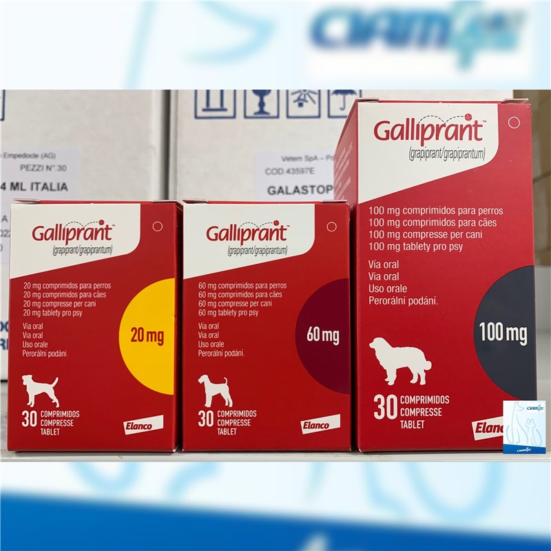 GALLIPRANT 30 CPR 20 MG GALLIPRANT 30 CPR 20 MG