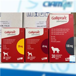 GALLIPRANT 30 CPR 60 MG