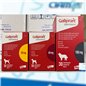 GALLIPRANT 30 CPR 60 MG