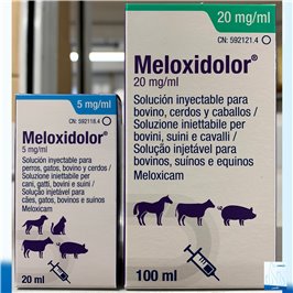 MELOXIDOLOR INIET 20 ML 5 MG/ML