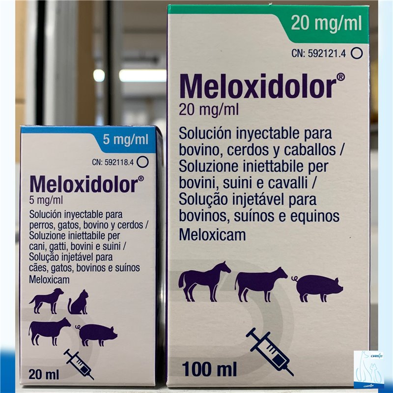 MELOXIDOLOR INIET 20 ML 5 MG/ML