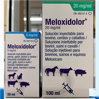 MELOXIDOLOR INIET 20 ML 5 MG/ML