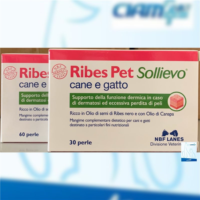 RIBES PET SOLLIEVO 30 PRL