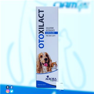 OTOXILACT DETERGENTE AURICOLARE