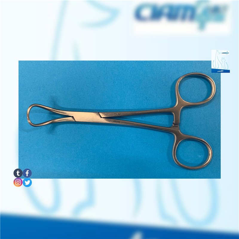 PINZA FISSATELI BACKHAUS 14CM