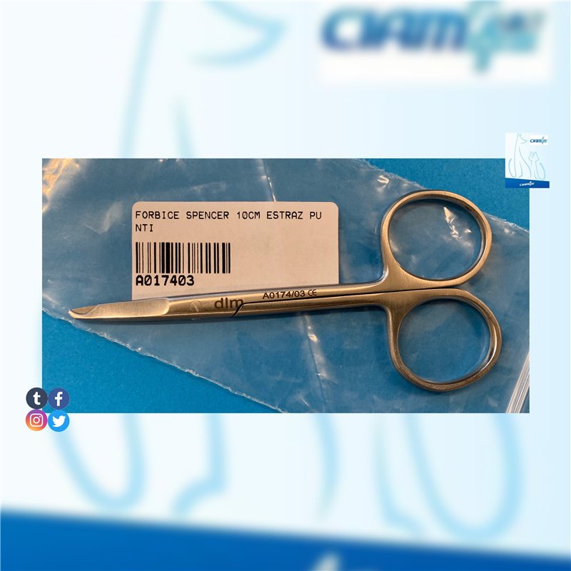FORBICE SPENCER 10CM ESTRAZ PUNTI