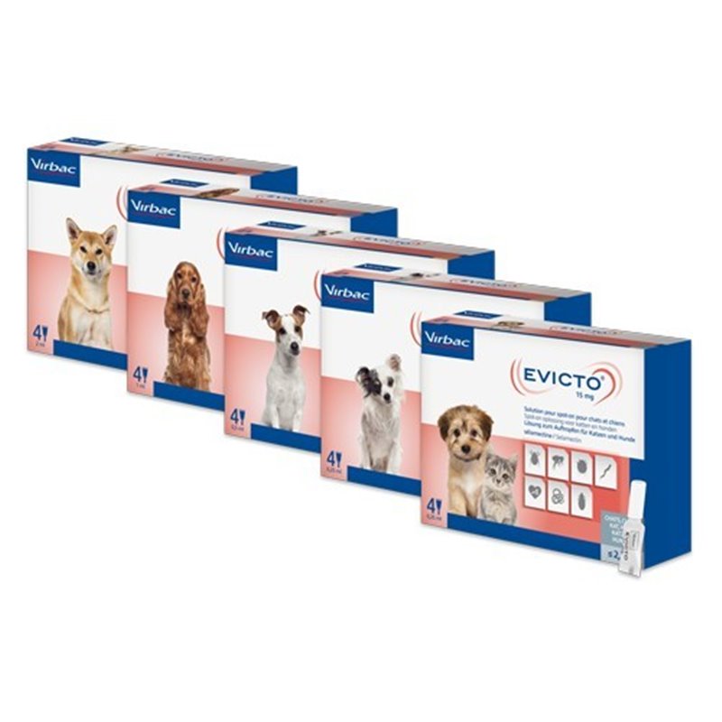 EVICTO SPOT ON 4 PIP 60 MG - 5,1 - 10 K