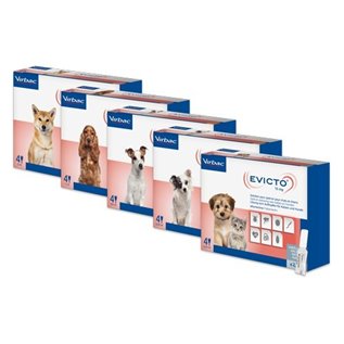 EVICTO SPOT ON 4 PIP 60 MG - 5,1 - 10 K