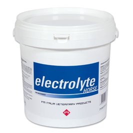ELECTROLYTE HORSE 3 KG FM