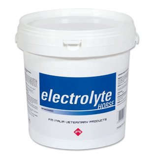 ELECTROLYTE HORSE 3 KG FM