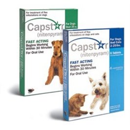 CAPSTAR 11,4 MG 6 CPR