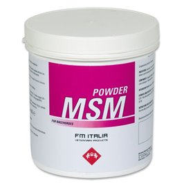 MSM POWDER 600 GR