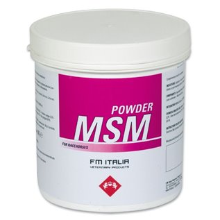 MSM POWDER 600 GR
