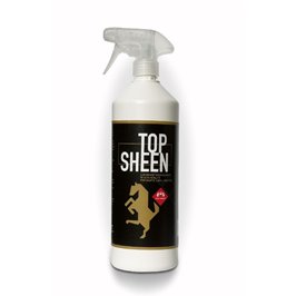 TOP SHEEN 1 LT