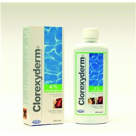 CLOREXYDERM SH. 4% 250 ML