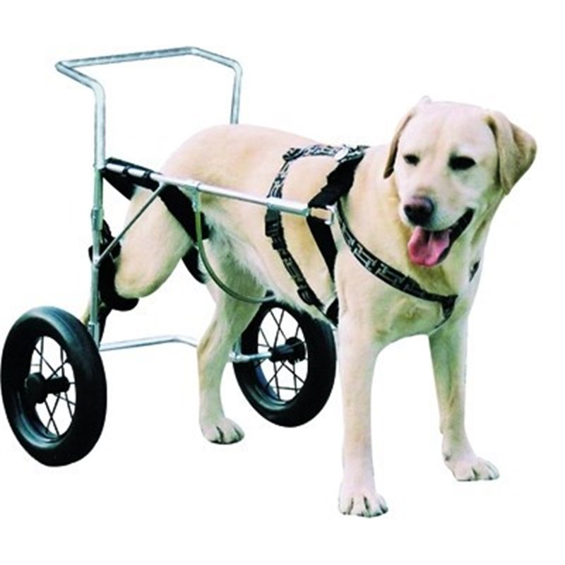 CARRELLO ORTOPEDICO PER CANI MISURA MEDIUM CARRELLO ORTOPEDICO PER CANI MISURA MEDIUM