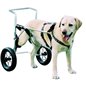 CARRELLO ORTOPEDICO PER CANI MISURA MEDIUM CARRELLO ORTOPEDICO PER CANI MISURA MEDIUM