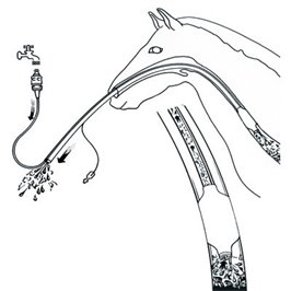 SONDA EQUIVET PER IRRIGAZIONE ESOFAGEA