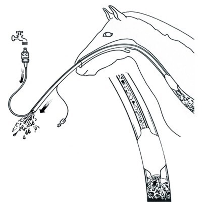 SONDA EQUIVET PER IRRIGAZIONE ESOFAGEA